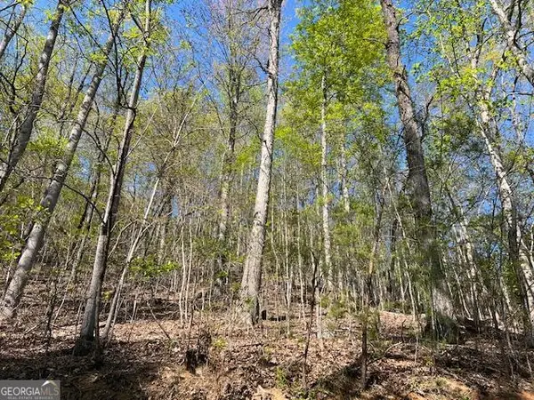 LOT 2B Grandview Drive, Hayesville, NC 28904