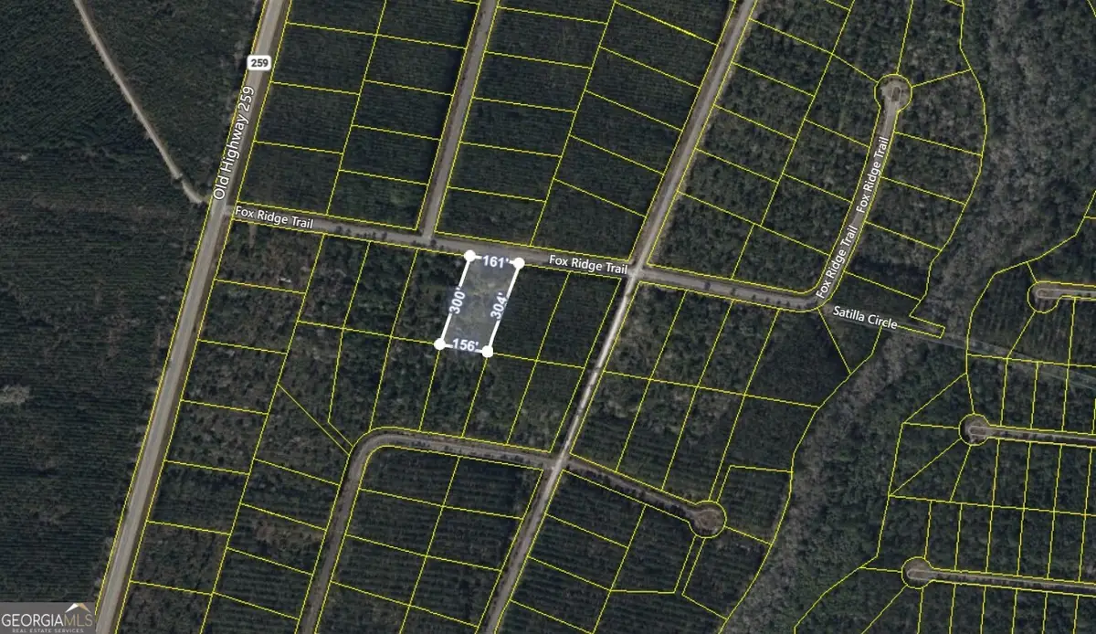 V/L 43 Fox Ridge, Waynesville, GA 31566 - Image #1