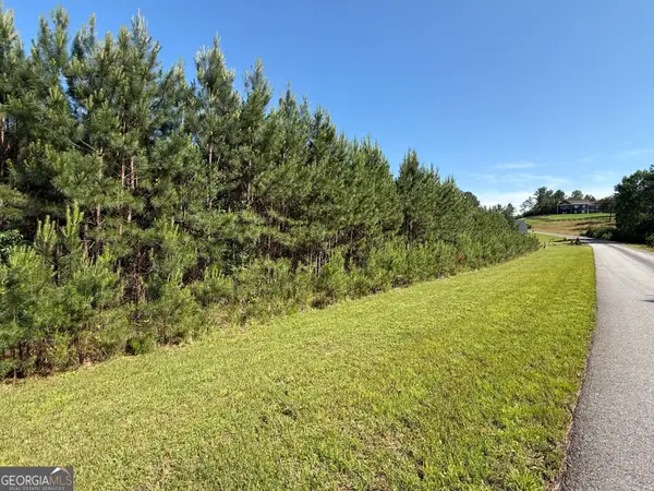 LOT 228 The Cove At Thirteen Hundred, Blairsville, GA 30512