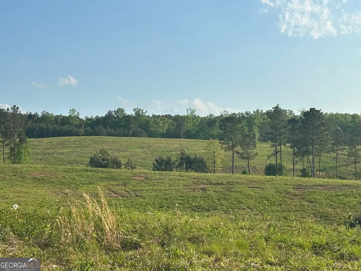 0 Needmore Road #(345.37 ACRES), Roopville, GA 30170 - Image #1