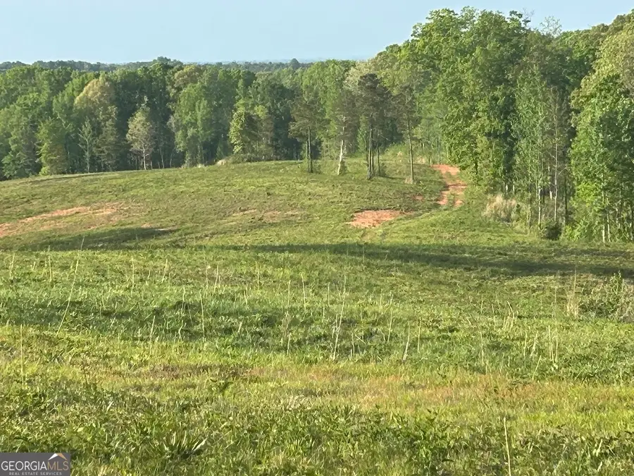 0 Needmore Road #(345.37 ACRES), Roopville, GA 30170 - Image #2