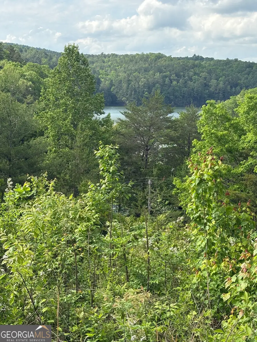 LOT 7 Foothills Estates Lane, Murphy, NC 28906 - Image #3