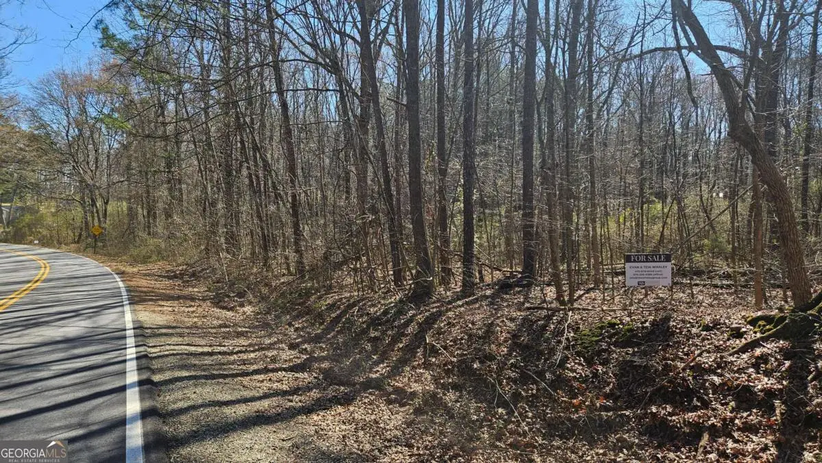 0 Cook Drive, Ellenwood, GA 30294 - #1