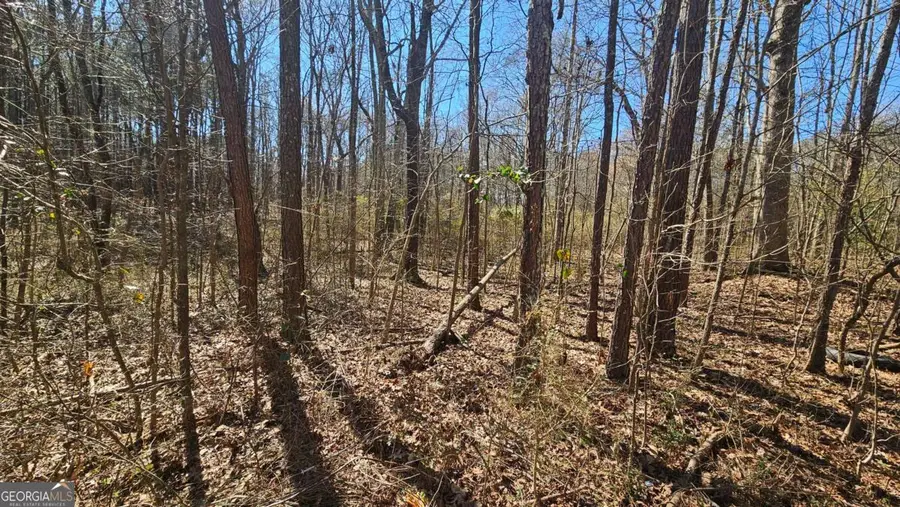 0 Cook Drive, Ellenwood, GA 30294 - #3