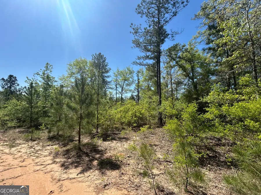 253 Apple Valley Road, Macon, GA 31217 - Image #2