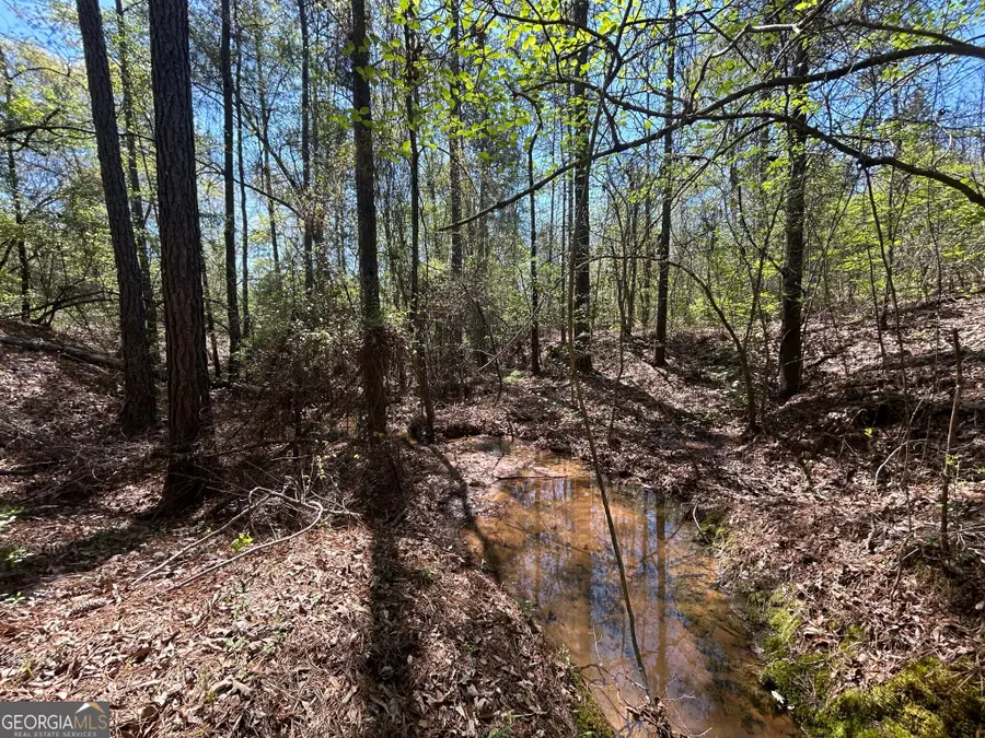 253 Apple Valley Road, Macon, GA 31217 - Image #3