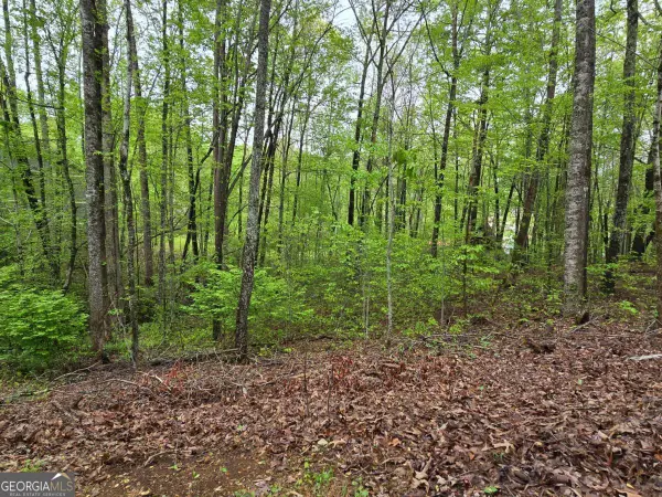 LOT 69 Chatuge Village, Hayesville, NC 28904