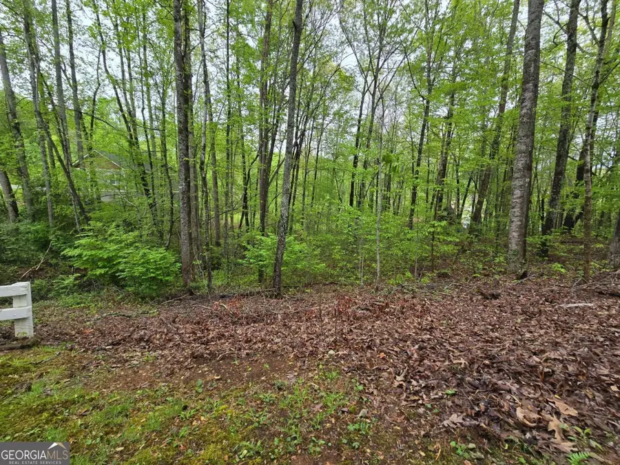 LOT 69 Chatuge Village, Hayesville, NC 28904 - Image #2