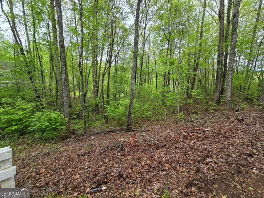 LOT 69 Chatuge Village, Hayesville, NC 28904 - Image #3