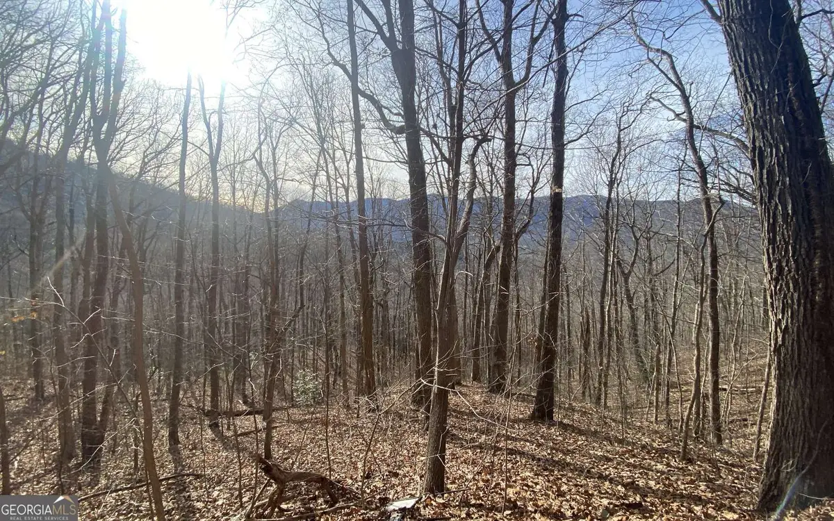 TRACT 1 Caeser Gap Road, Hiawassee, GA 30546 - Image #1