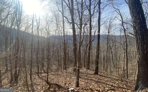 TRACT 1 Caeser Gap Road, Hiawassee, GA 30546