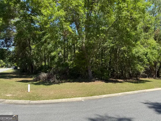 V/L 902, 0 Teather Drive, Saint Marys, GA 31558 - #3