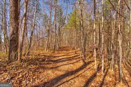 600 Chapman Ridge Lane, Dahlonega, GA 30533 - Image #2