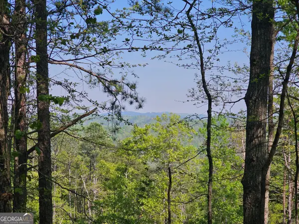 391 Meteor Court Ne, Ranger, GA 30734