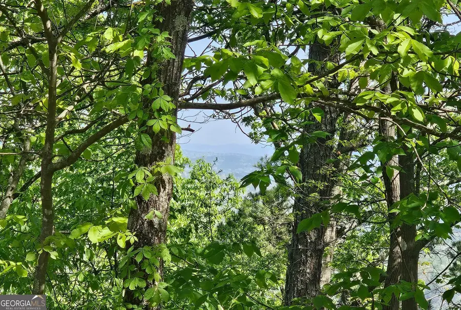 391 Meteor Court Ne, Ranger, GA 30734 - Image #3