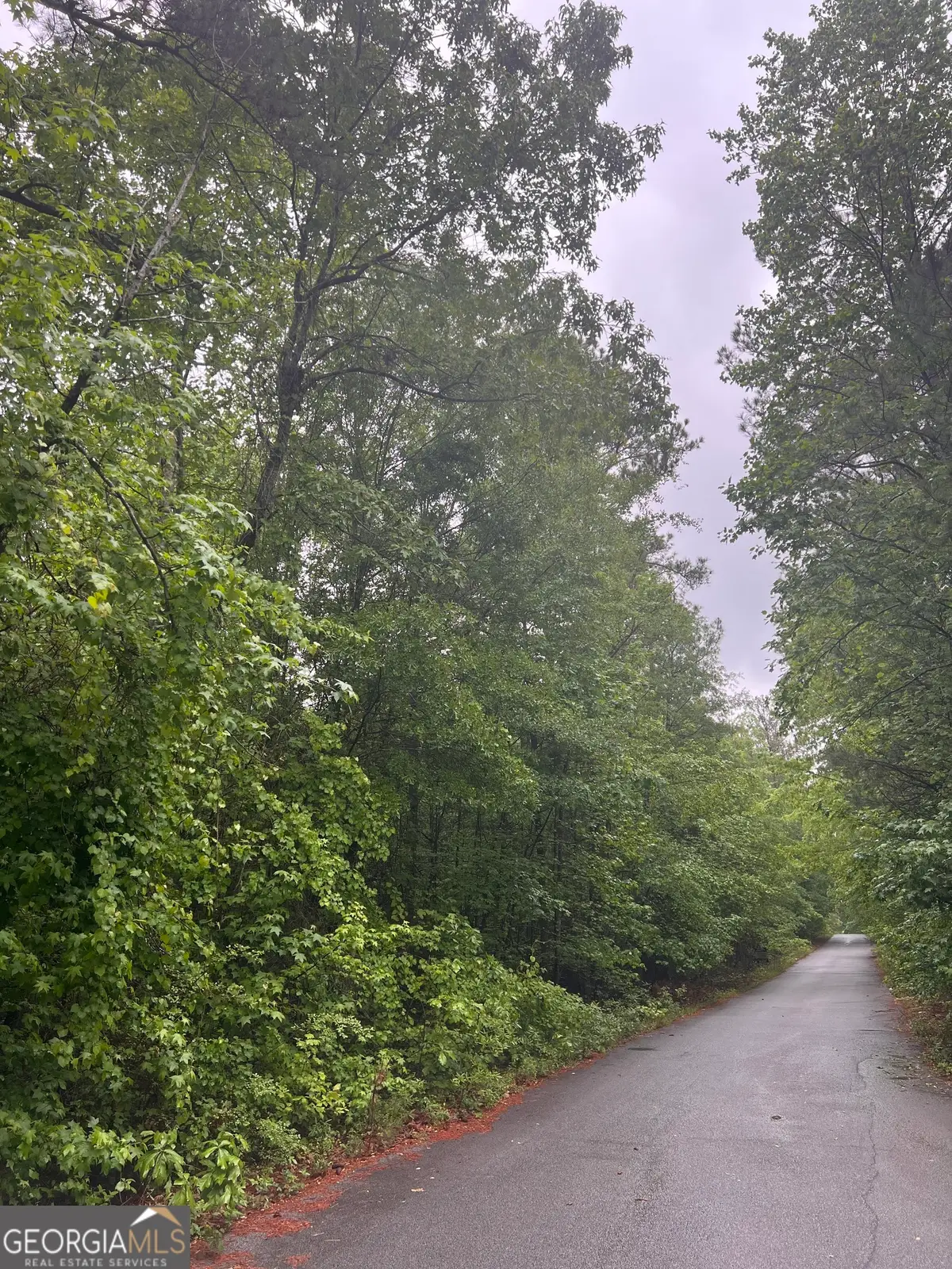3735 Sw Millstream Lane, Stockbridge, GA 30281 - #1