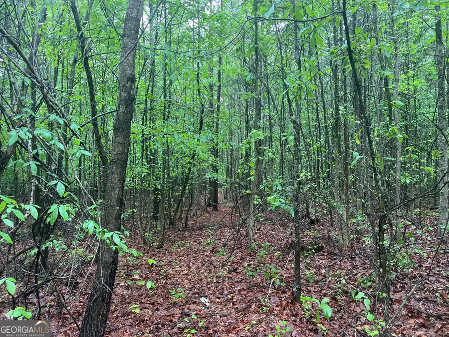 3735 Sw Millstream Lane, Stockbridge, GA 30281 - #3