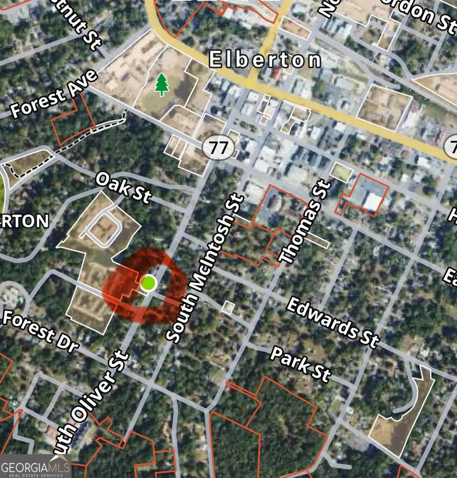 196 S Oliver Street, Elberton, GA 30635 - Image #2