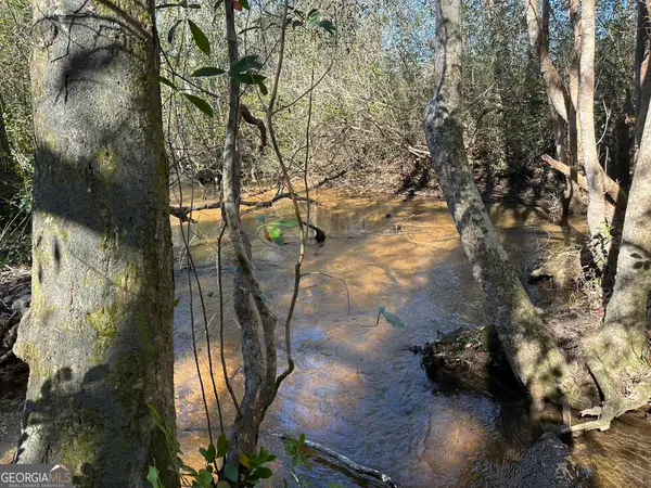 004 Mt Sinai Church Road, Butler, GA 31006