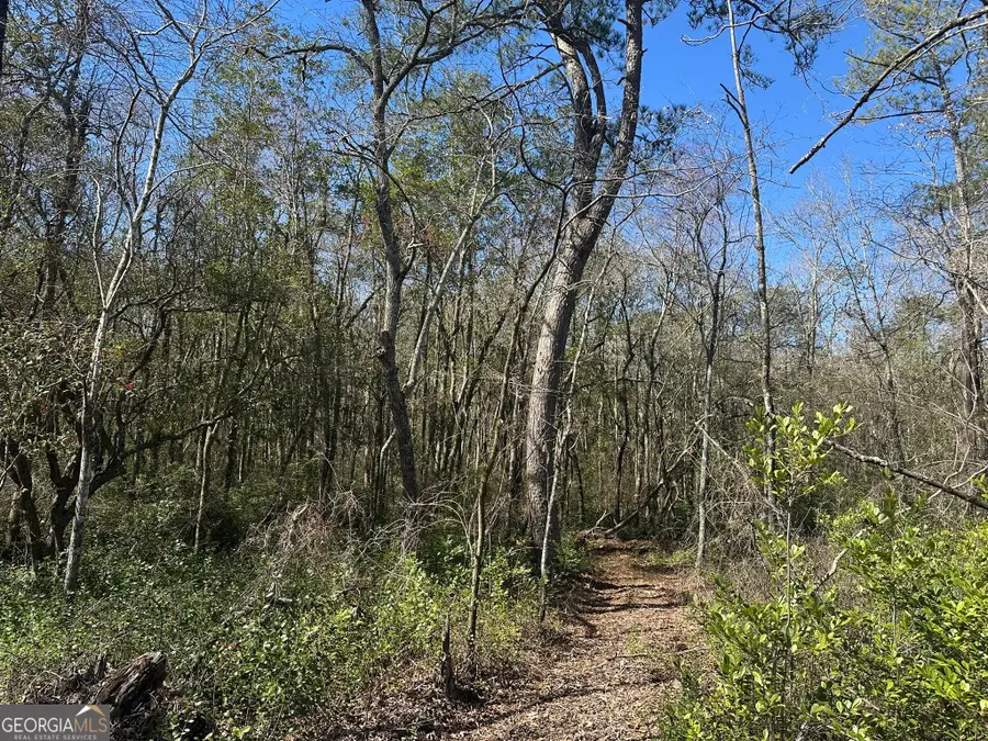 004 Mt Sinai Church Road, Butler, GA 31006 - Image #3