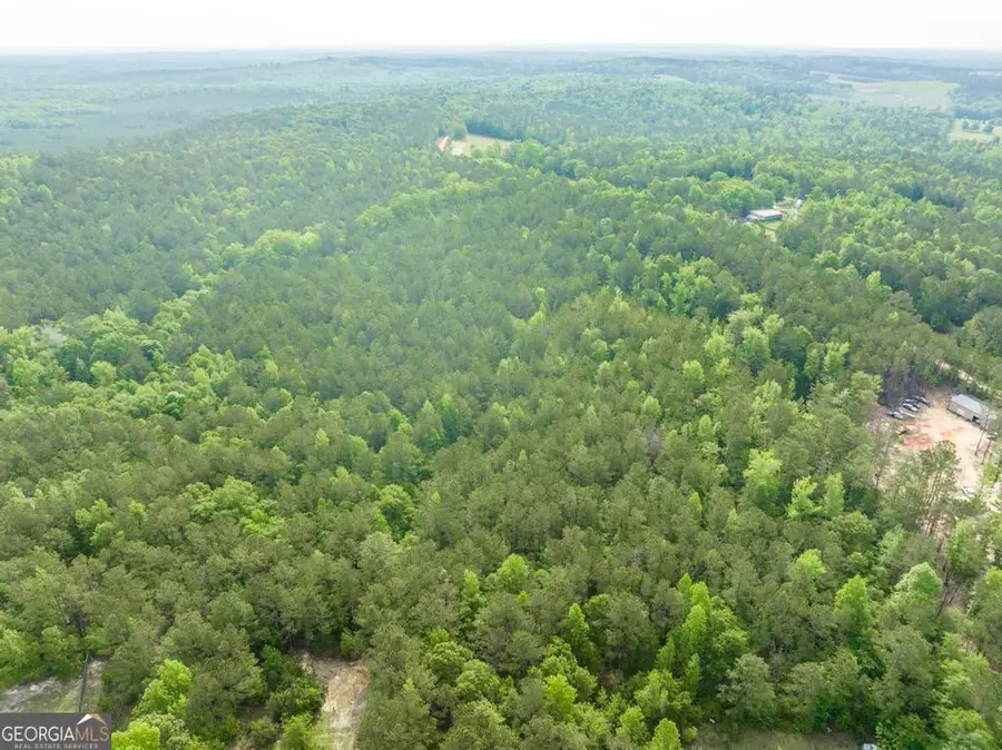 2140 Nesmith Road Sw, Gordon, GA 31031 - Image #3