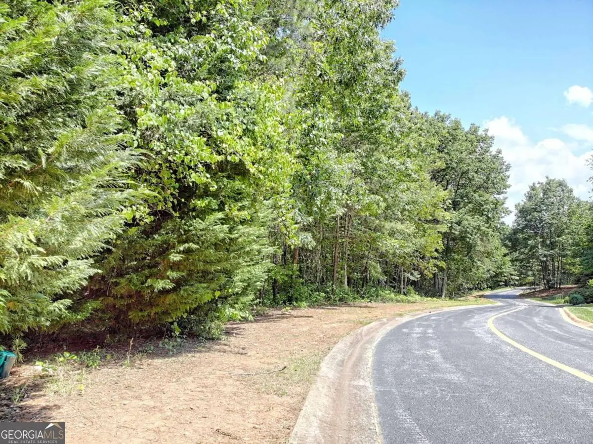 0 Cider Ridge #923, Clarkesville, GA 30523 - #1