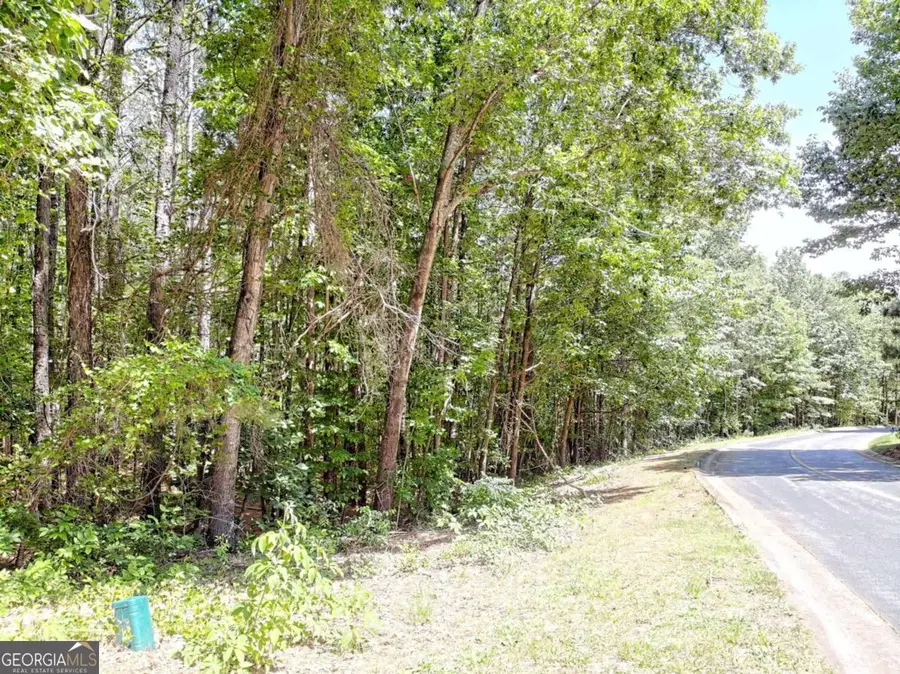 0 Cider Ridge #923, Clarkesville, GA 30523 - #3