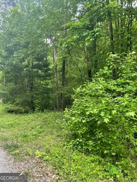 0 Mccormick Drive, Dawsonville, GA 30534