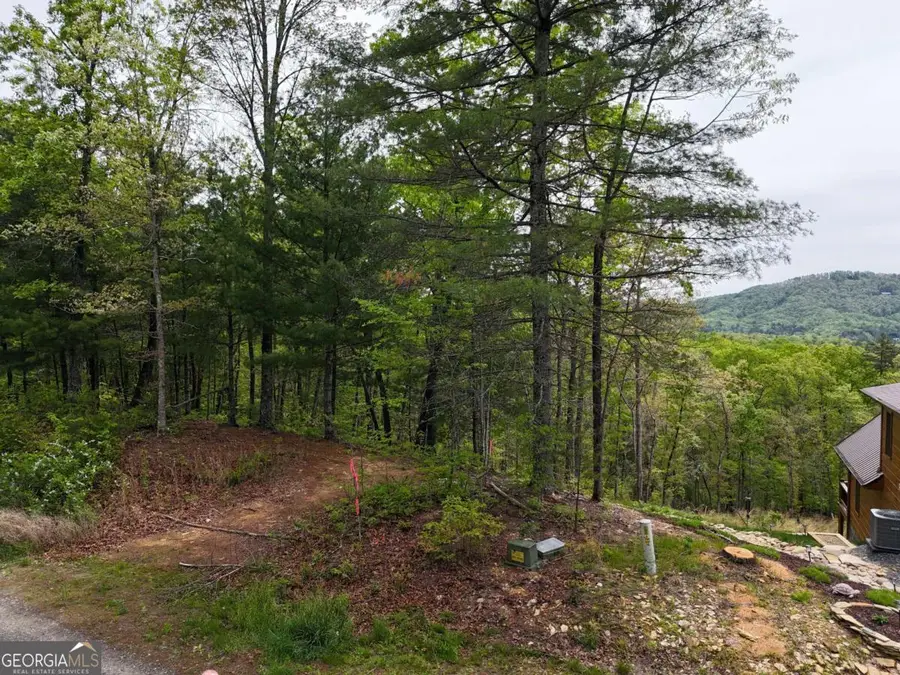 LOT 20 Crabapple Lane, Mineral Bluff, GA 30559 - Image #2