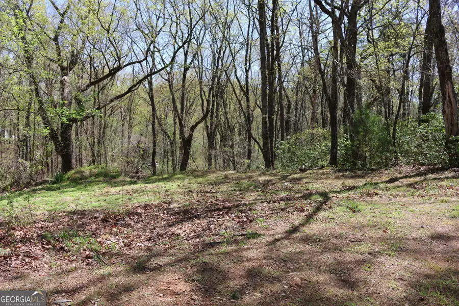 0 Spring Crest Road, Cleveland, GA 30528 - #3