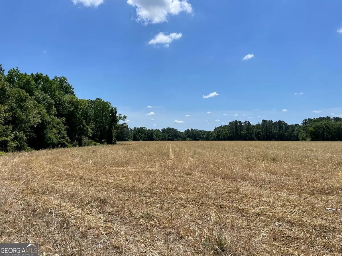 0 Old Moore Road, Portal, GA 30450 - Image #1