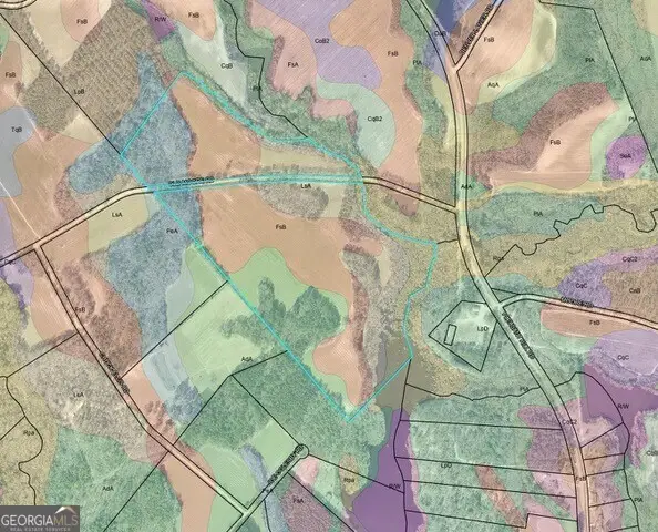 0 Old Moore Road, Portal, GA 30450 - Image #3