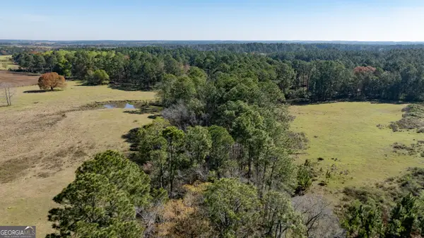 0 Lost Road, Arabi, GA 31712