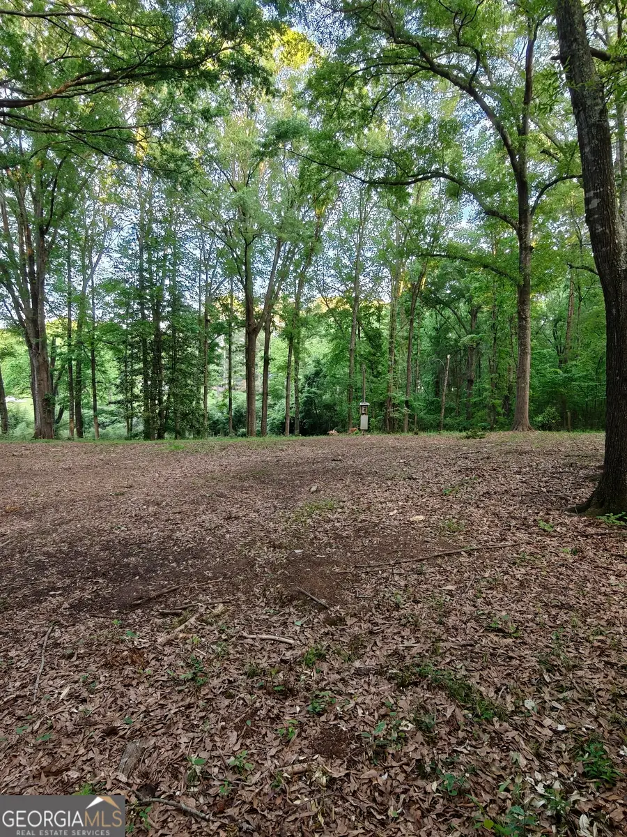 0 Quick Drive, Senoia, GA 30276 - Image #2