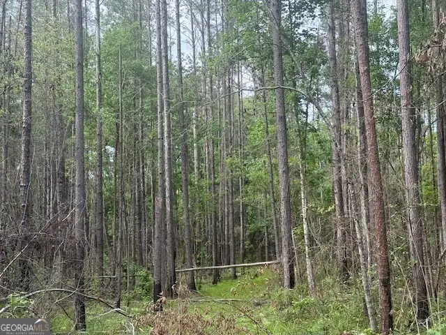 0 Lower Lumpkin Road, Georgetown Quitman County, GA 39854 - Image #2