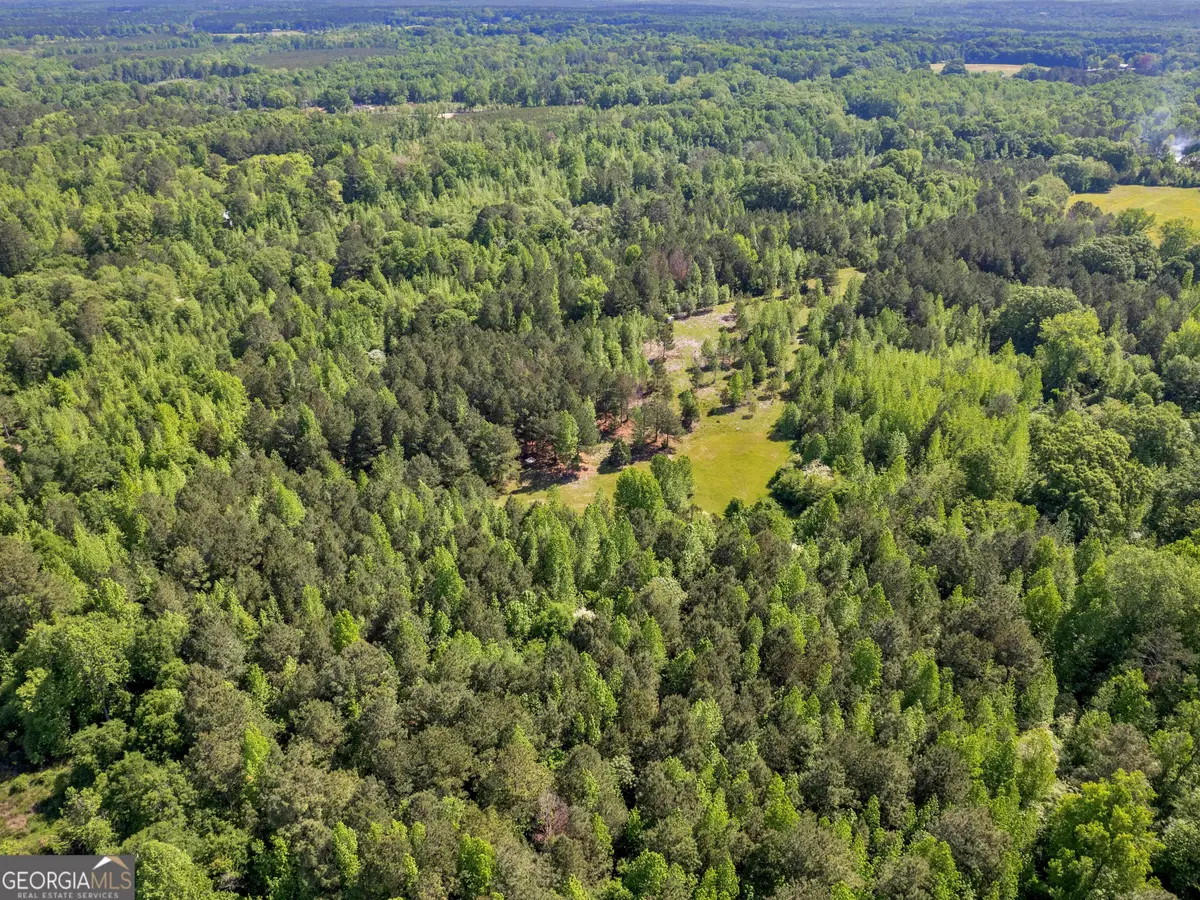 0 Bagwell Road, Molena, GA 30258 - Image #1