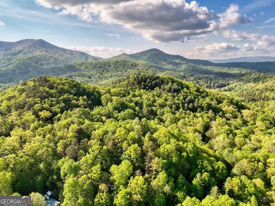 TRACT 16 Quinn Cove Road, Hiawassee, GA 30546 - Image #2