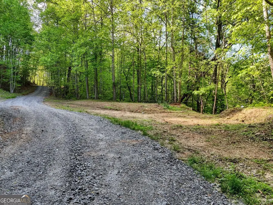 TRACT 16 Quinn Cove Road, Hiawassee, GA 30546 - Image #3