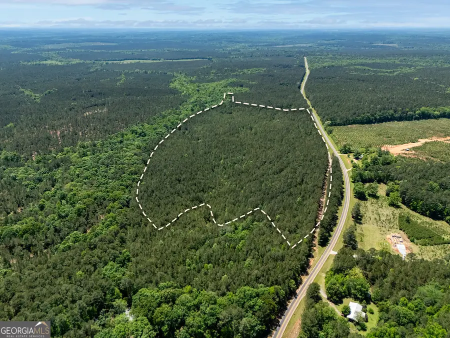 3678 Lundberg Road, Washington, GA 30673 - Image #3