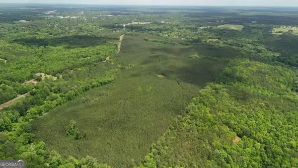 0 Davis Lake Road, Thomaston, GA 30286