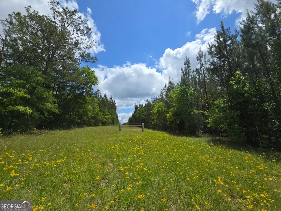 0 Davis Lake Road, Thomaston, GA 30286 - Image #2