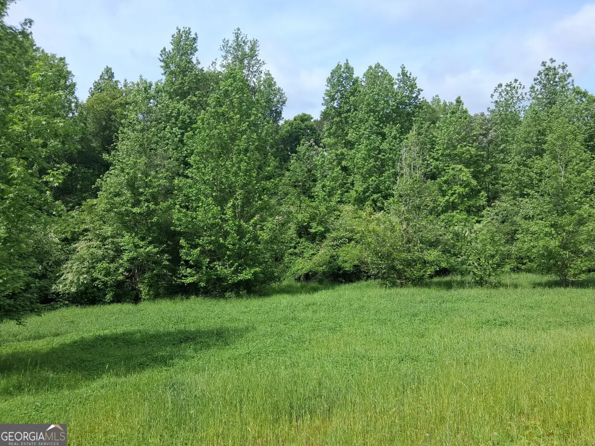 570 Gay Conn, Greenville, GA 30222 - #1