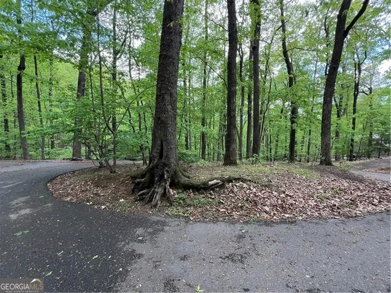 387 Windflower Drive, Big Canoe, GA 30143 - #3