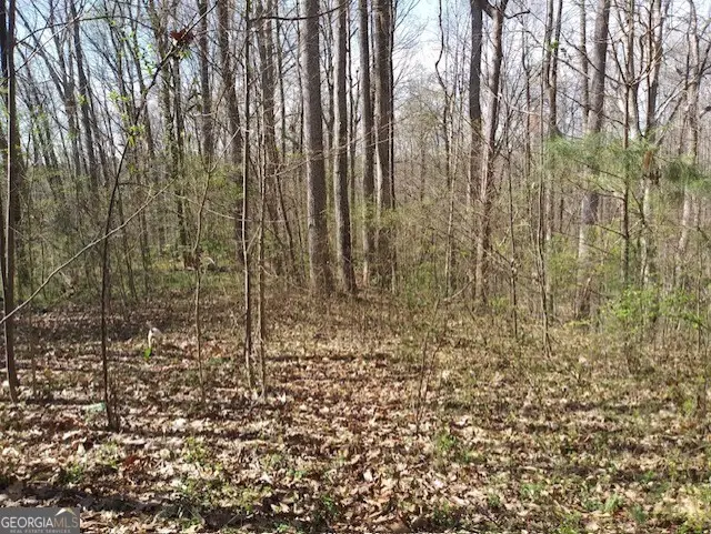 620 Ivy Creek Drive, Nicholson, GA 30565 - Image #3