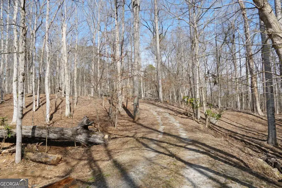0 Hawk Run, Peachtree Corners, GA 30092 - Image #3