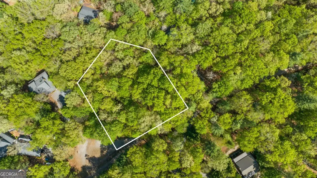 .75 ACRE Chinkapin Drive, Blue Ridge, GA 30513 - #1