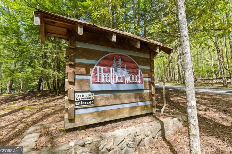 .75 ACRE Chinkapin Drive, Blue Ridge, GA 30513 - #2