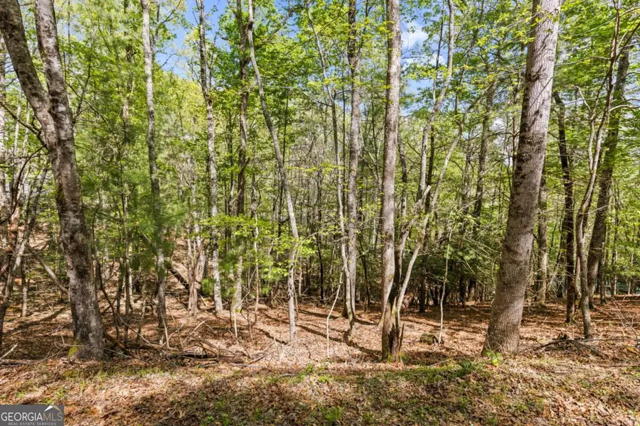 .75 ACRE Chinkapin Drive, Blue Ridge, GA 30513 - #3