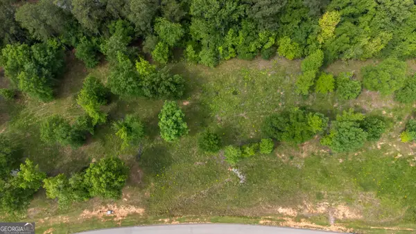 1200 Bayside Drive, Greensboro, GA 30642