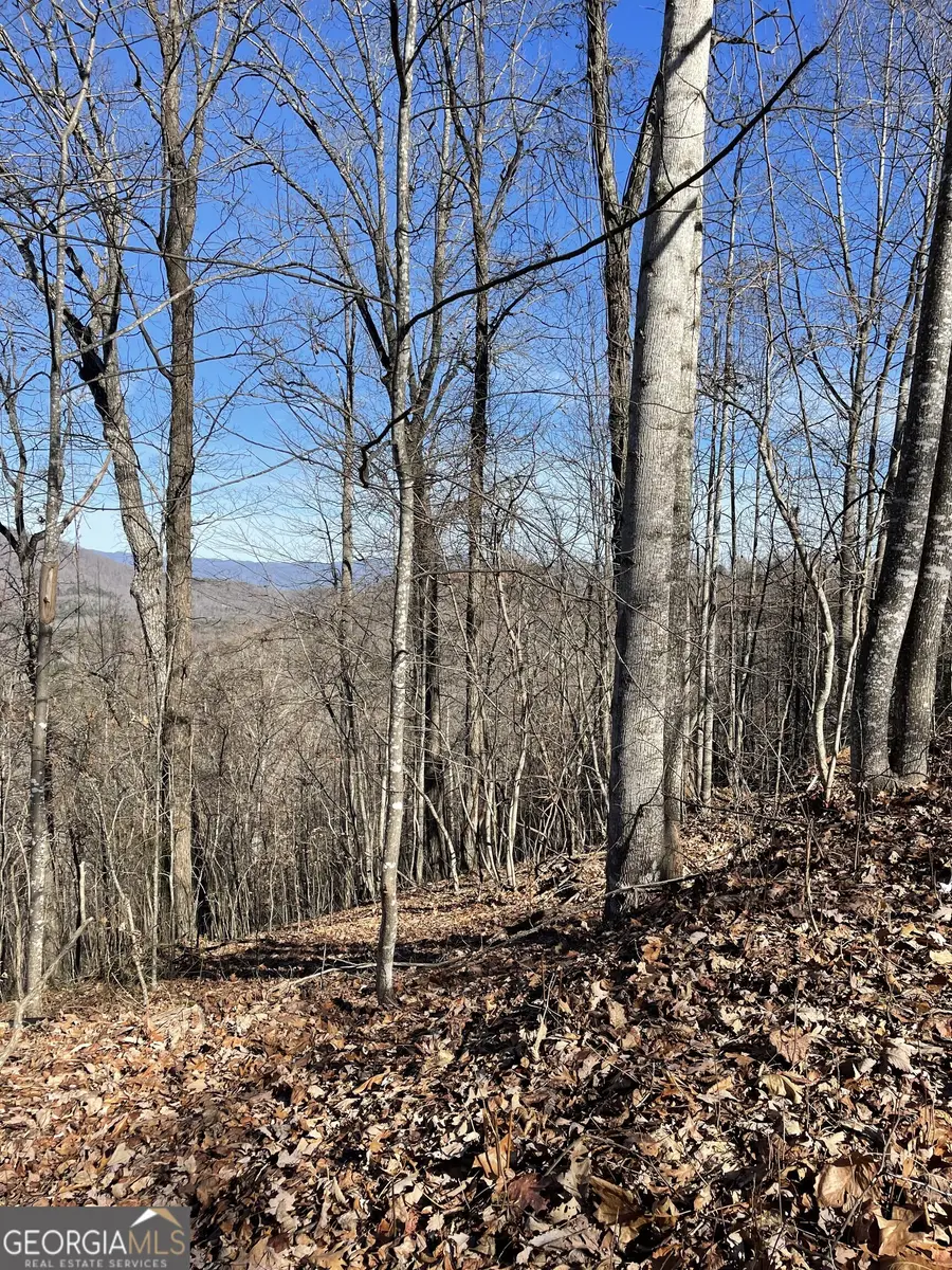 0 Harris Ridge Road #27, Young Harris, GA 30582 - Image #2